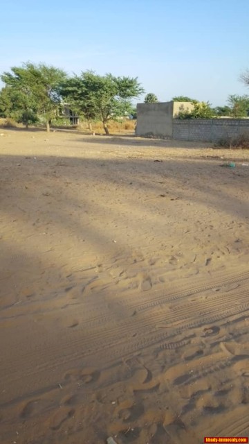 Image annonce TNDIO-308