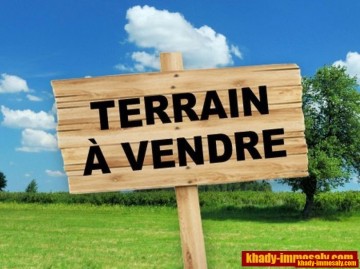 Image annonce TS-311